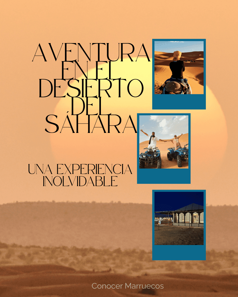 Camellos al atardecer en el Sahara