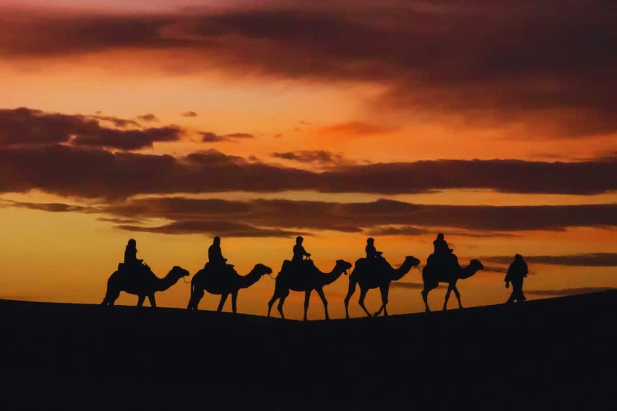 Tour de 3 días al desierto de Merzouga desde Marrakech - foto 3